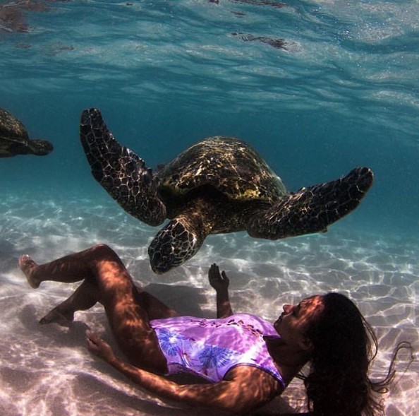 turtle swim turtle swim