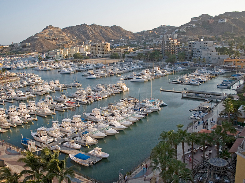 About Cabo Marina
