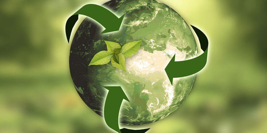 Cabo se vuelve verde the greener Cabo